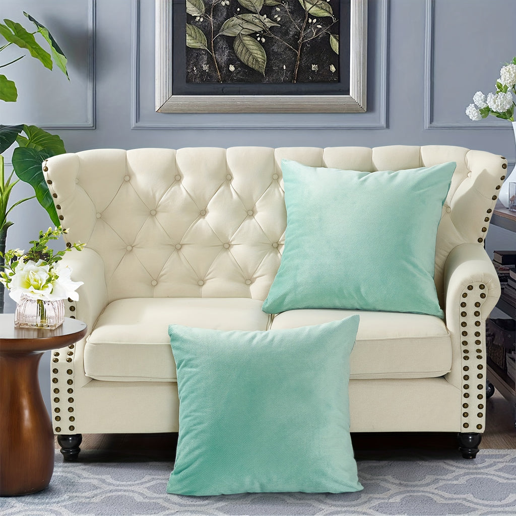 2pcs Plush Soft Decorative Throw Pillow Covers Set with Double Sided (NO INSERT), Stylish Cushion Cover for Sofa Couch Chair Living Room Bedroom Decor